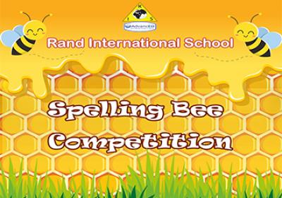 Grades - Spelling Bee Competition 