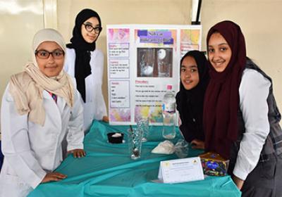 Grade 6 - Science Fair 